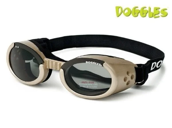 Embroidered pet collar-Chrome Doggles ILS Protective Eyewear