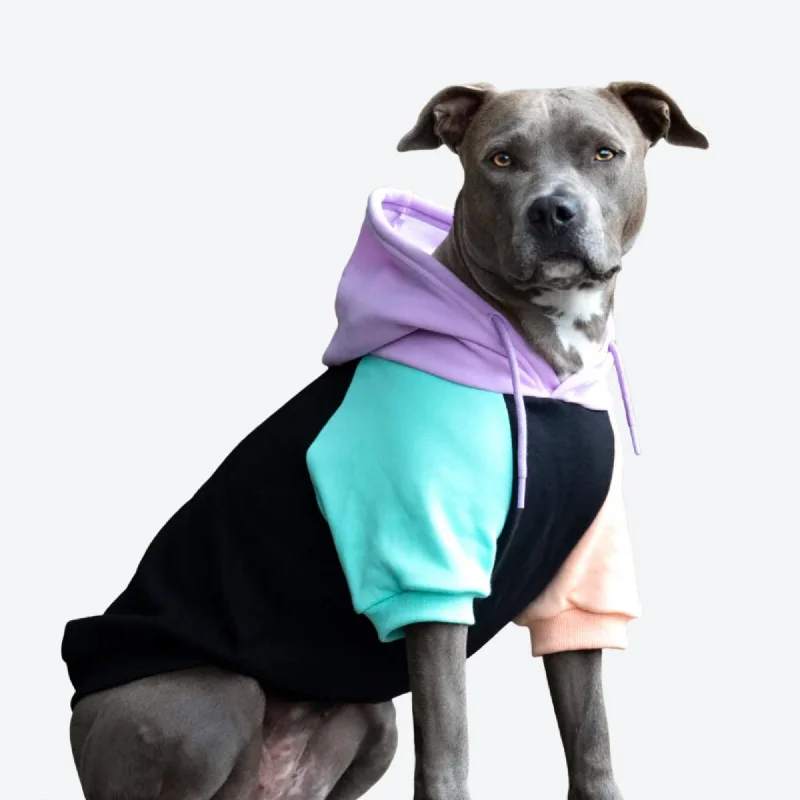 Lightweight pet kennel-Cyber Punk Dog Hoodie