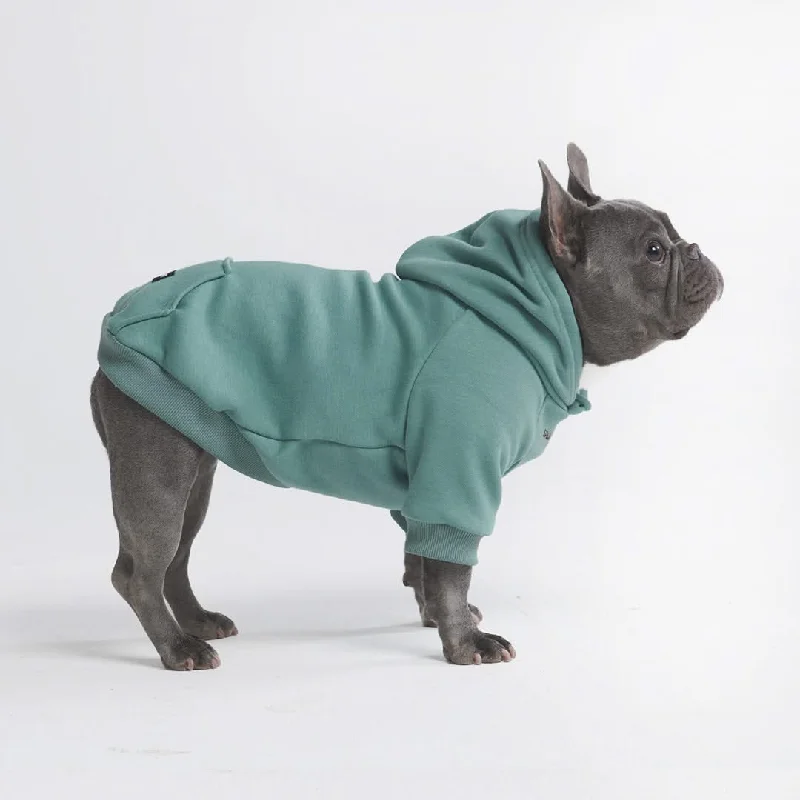 Aloe vera pet shampoo-Essential Dog Hoodie - Teal