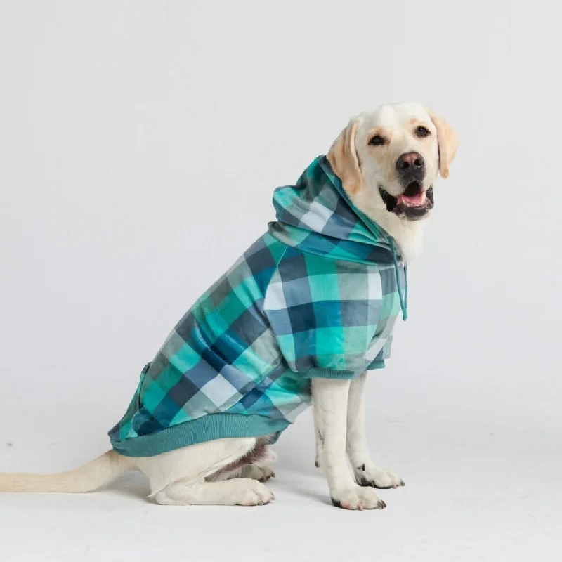 Battery-powered pet brush-Velvet Dog Hoodie - Turquoise Checkered