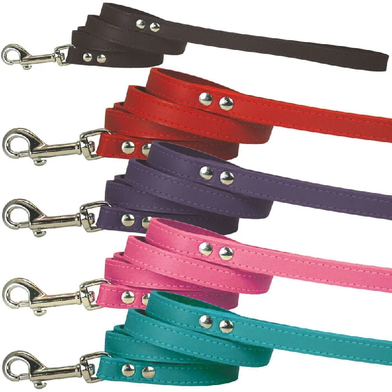 Travel pet food canister-Spike & Stud Signature Leash, Pink, 1/2" x 4'