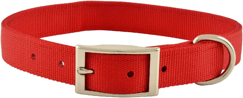 Eucalyptus pet ear cleaner-1" Nylon Dog Collar, 26"L