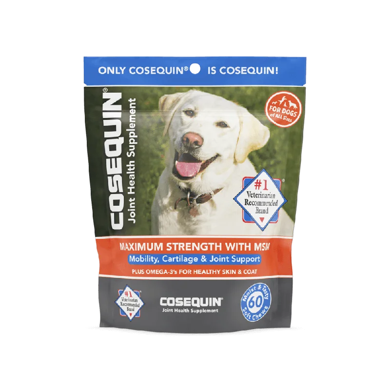 Bright pet safety vest-Nutramax Cosequin Joint Health Supplement for Dogs - With Glucosamine, Chondroitin, MSM, and Omega-3's