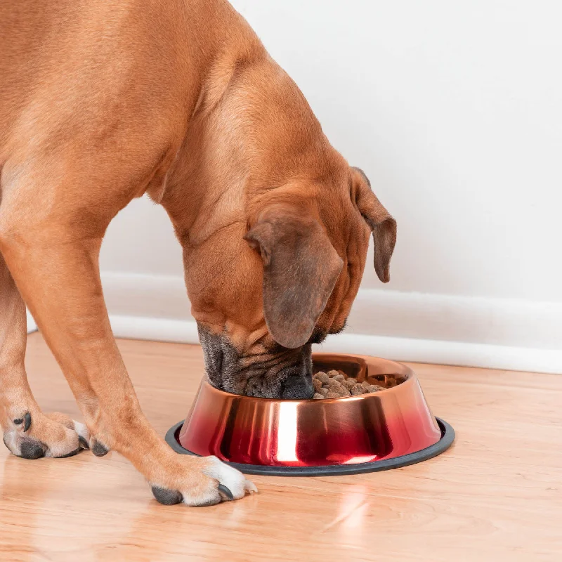 Adjustable pet collar velvet-Copper Sunset Ombre Pet Dish