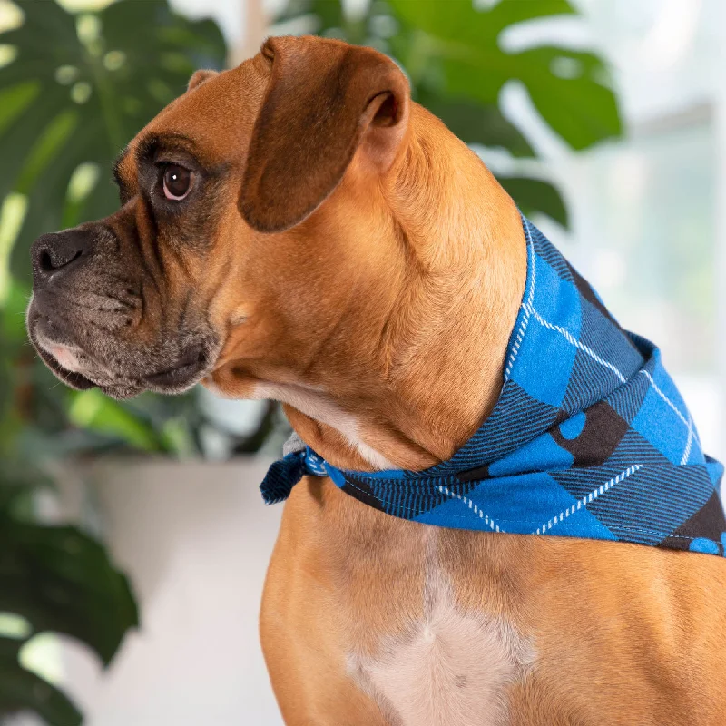 Portable pet heating mat-Plaid Paws Pet Bandana