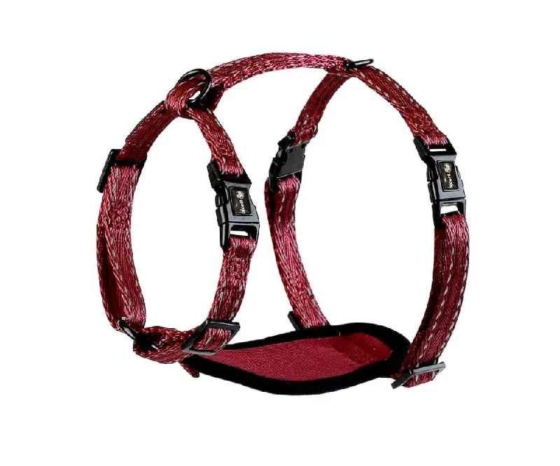 Quiet pet nail trimmer-alcott Adventure Harness