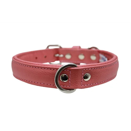 Filtered pet water dispenser-Alpine Plain Padded Leather Dog Collar - Bubblegum Pink