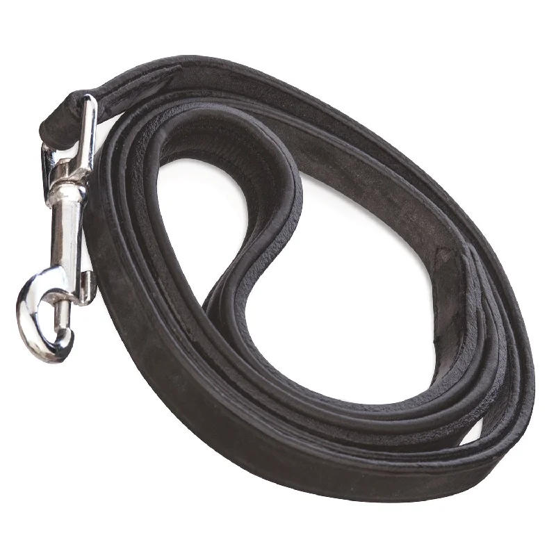 Solar-powered pet fountain-Black Padded Leather Leash, 5/8" x 4'