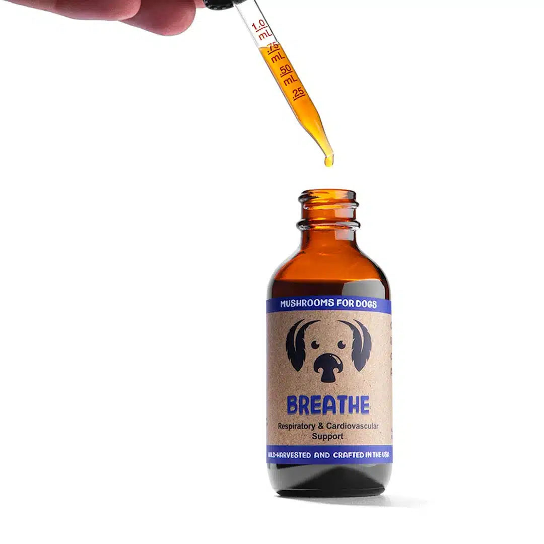 Padded dog winter coat-Breathe by MycoDog Mushroom Extract & Adaptogen Tincture