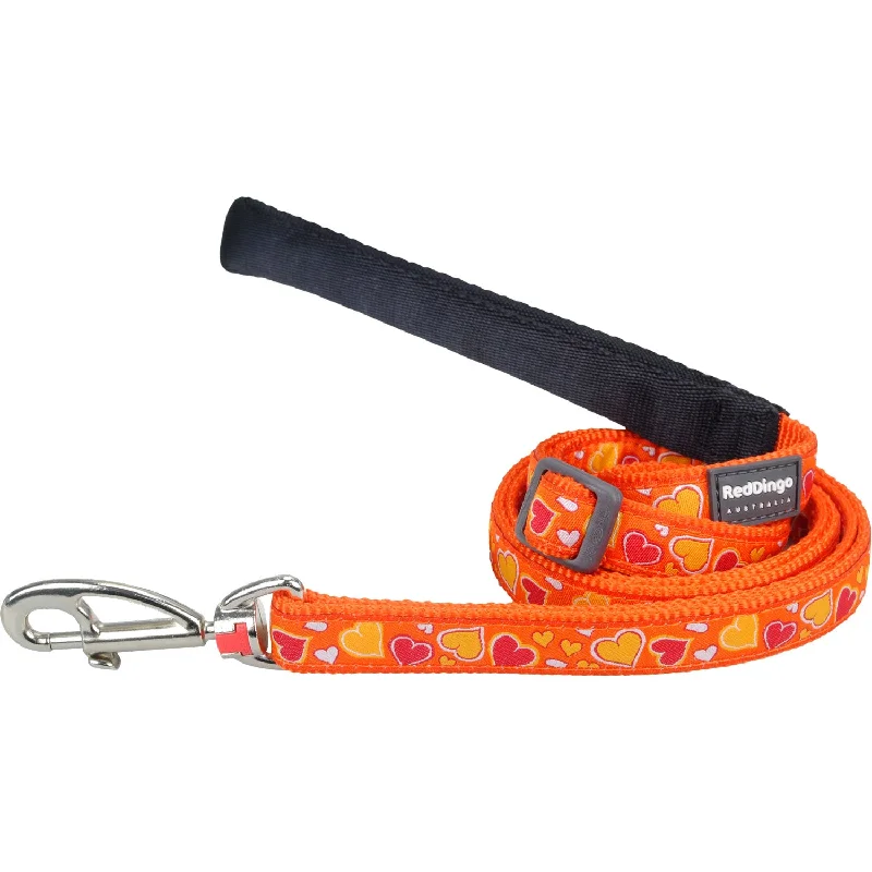 Gravity-fed pet fountain-Breezy Love Orange Dog Leash