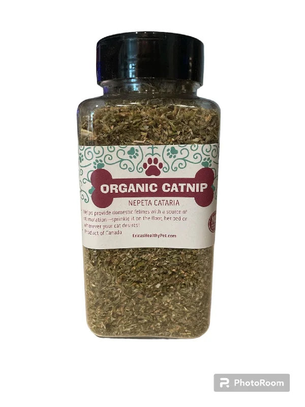 Organic pet dental gel-Catnip