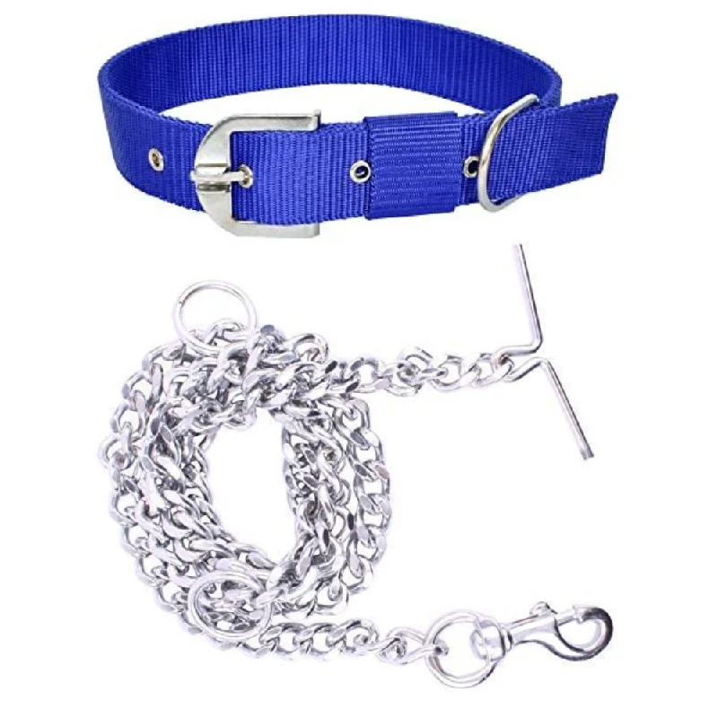 Compact pet travel kennel-Chullbull Nylon Collar and Heavy Chain Leash for Dogs (Blue)