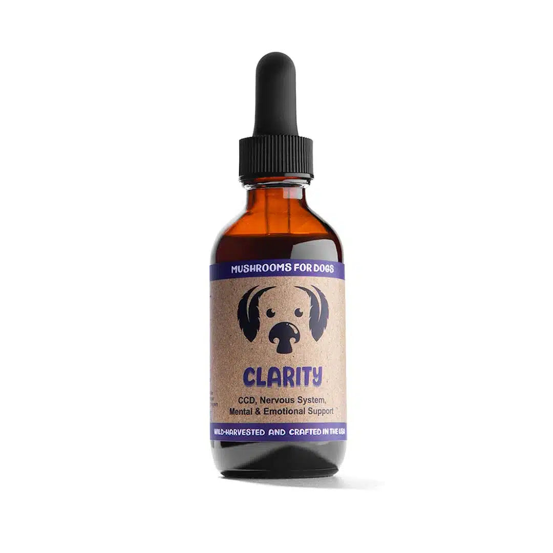 Curved pet bed orthopedic-Clarity by MycoDog Mushroom Extract & Adaptogen Tincture