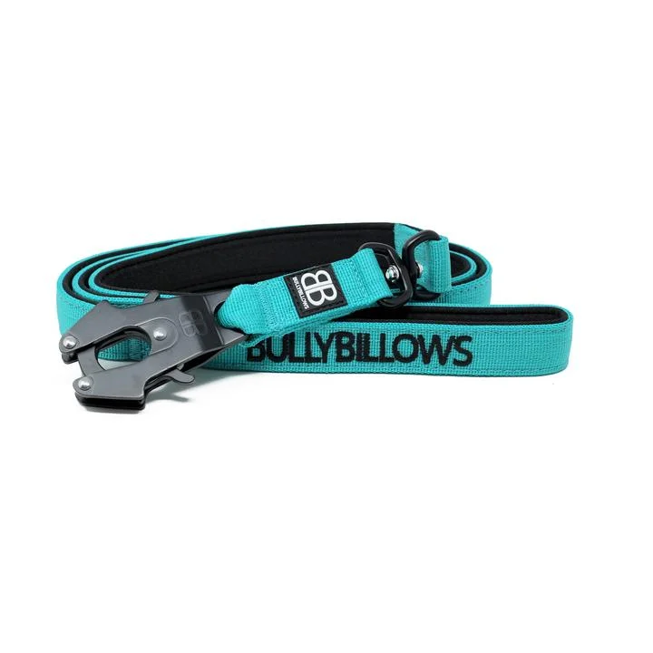 Precision pet hair trimmer-Bully Billows - Swivel Combat Dog Lead - Turquoise