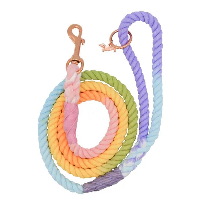 Reflective pet harness large-Dog Rope Leash - Pinata