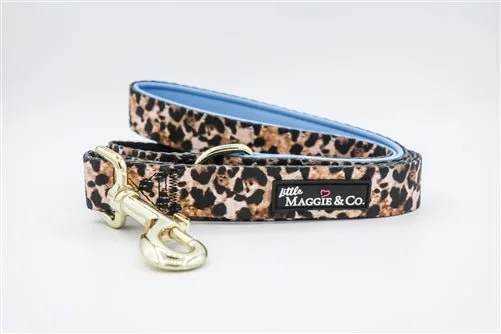 Travel pet kennel medium-"Exotic" Leash