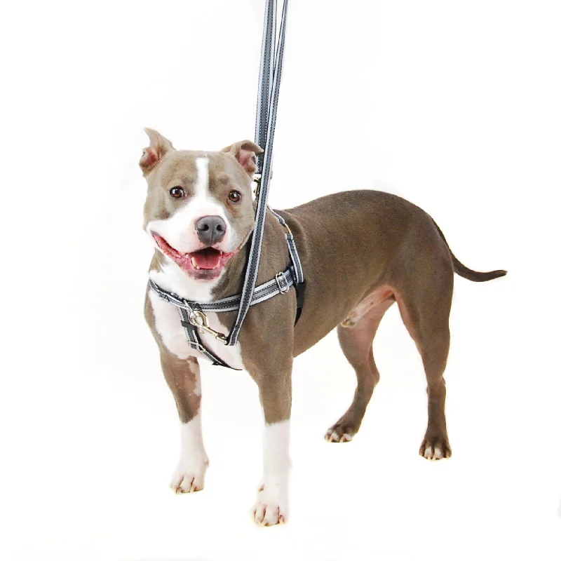 Tea tree pet shampoo-Reflective Freedom Harness & Leash, No-Pull Harness with Padding