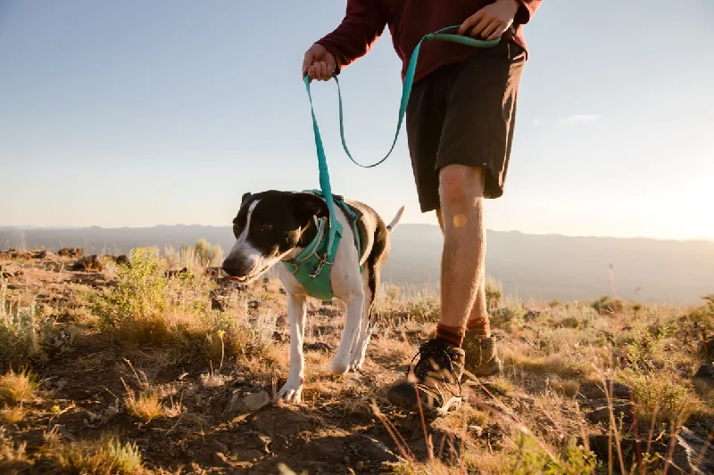 Soft pet throw large-Front Range Ruffwear Dog Leash