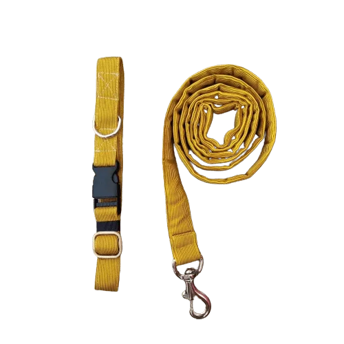 Clicker for puppy training-FurBuddies Collar & Leash Set for Dogs (Dandelion Yellow)