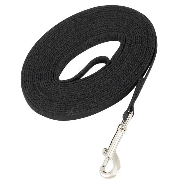 High-visibility dog harness-Guardian Gear Poly-Cotton Web Training Lead (30 ft. Black)