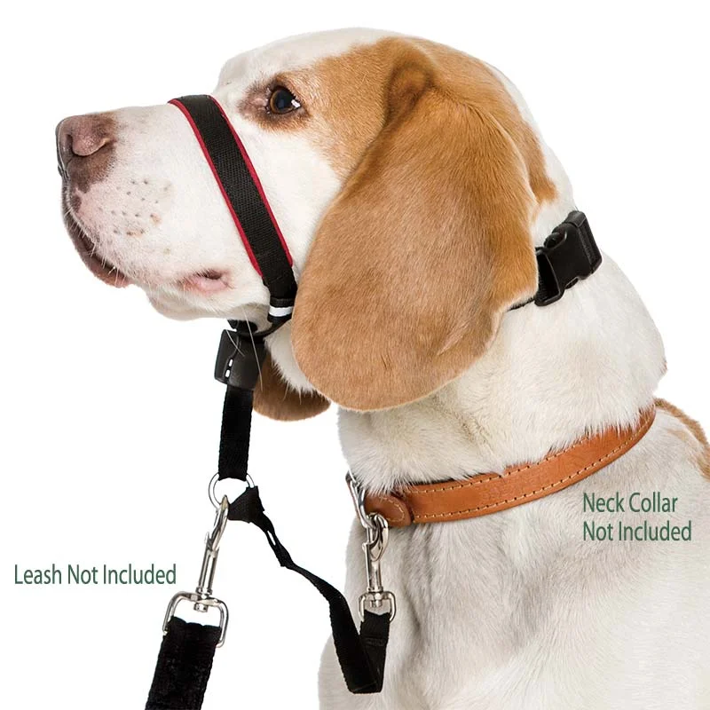 Mesh pet travel crate-HALTI Optifit Head Collar for Dogs - Stops Pulling on the Leash!