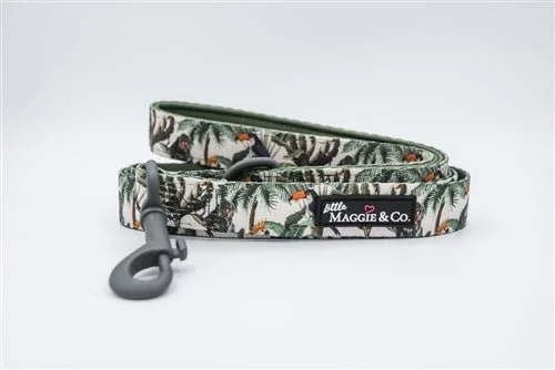 Reflective pet collar medium-"Into the Wild" Leash