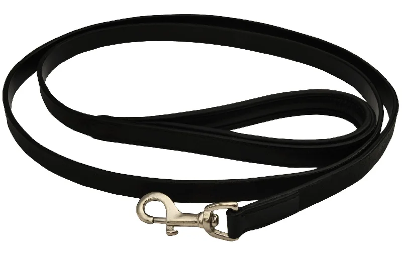 Neon reflective pet leash-Jeffers Premium Padded Black Leather Leash