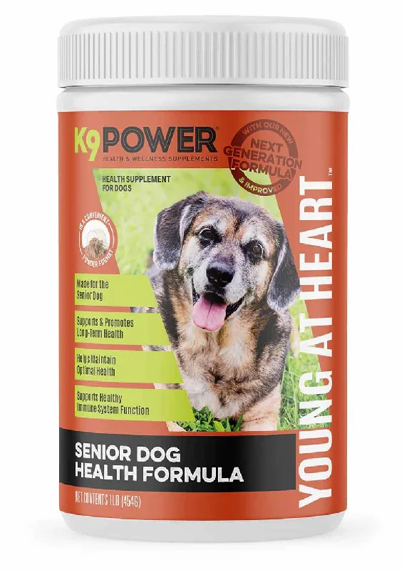 Squeaky dog treat toy-K9 Power Young at Heart Senior Dog Health Formula