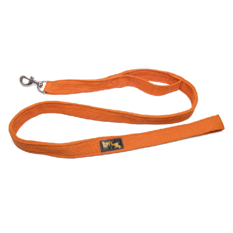 Sturdy cat travel crate-Let's Wag Double Handle Fabric Leash for Dogs (Orange)