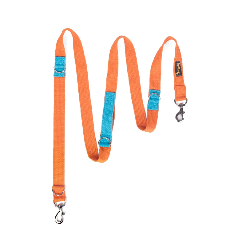 Puppy teething bone toy-Let's Wag Multi Purpose Leash for Dogs (Orange)