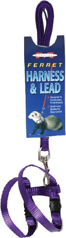 Clicker for puppy training-MARSHALL HARNESS & LEASH PURPLE