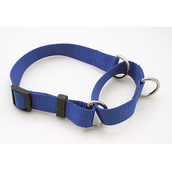 Small pet grooming tool-Martingale Collar