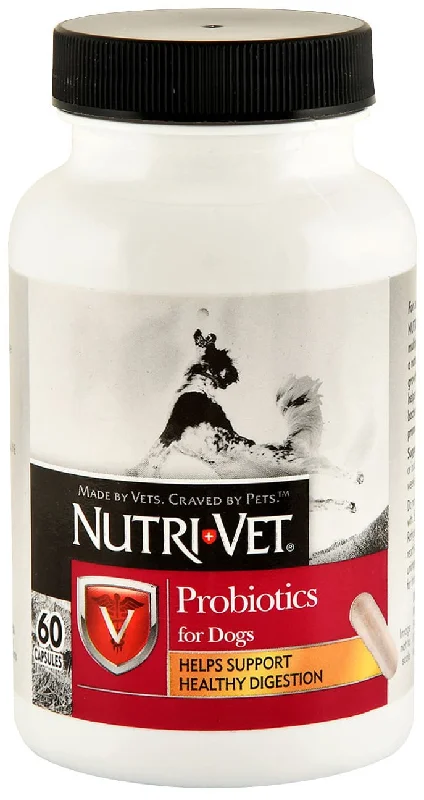 Reflective pet vest medium-Nutri-Vet Probiotics for Dogs