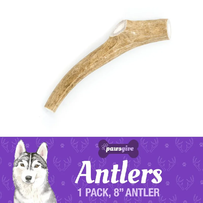 Remote control pet toy-8" Large Naturally Shed Antler Chew for Dogs