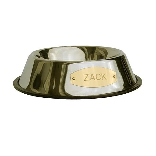 Travel pet crate small-Personalized Stainless Bowl | Pet Gifts