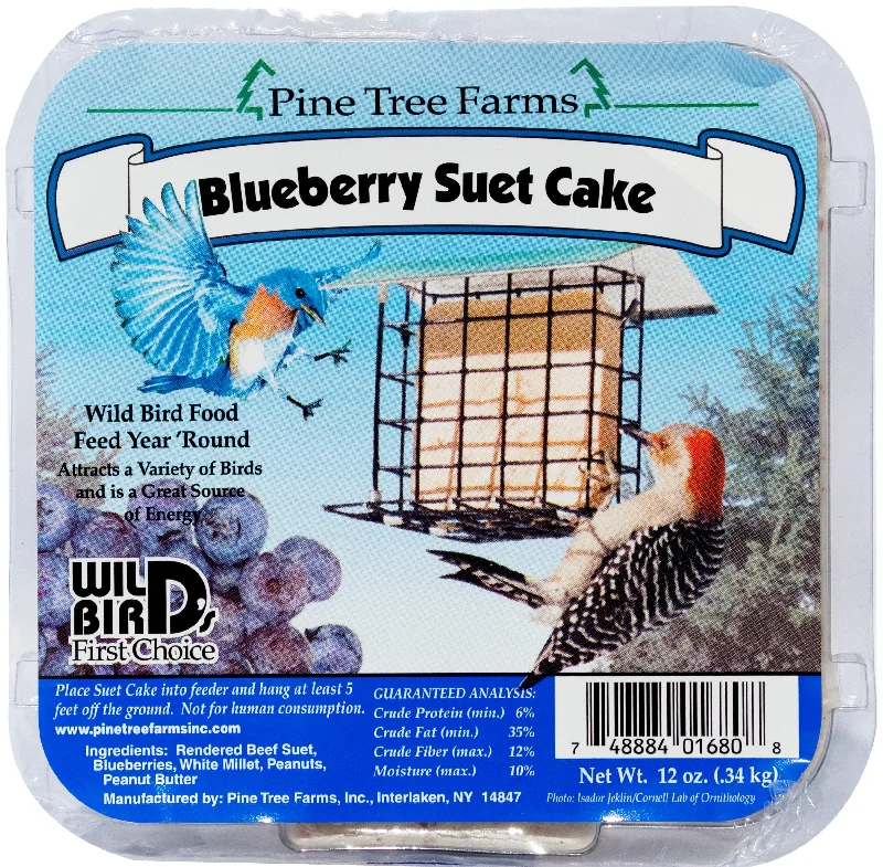 Corrugated cat scratch pad-PINE TREE BLUEBERRY SUET12oz