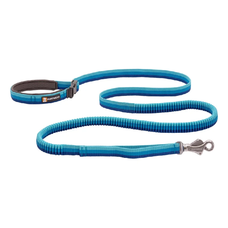 Grippy pet feeding mat-Ruffwear Roamer Bungee Leash for Dogs (Blue Atoll)