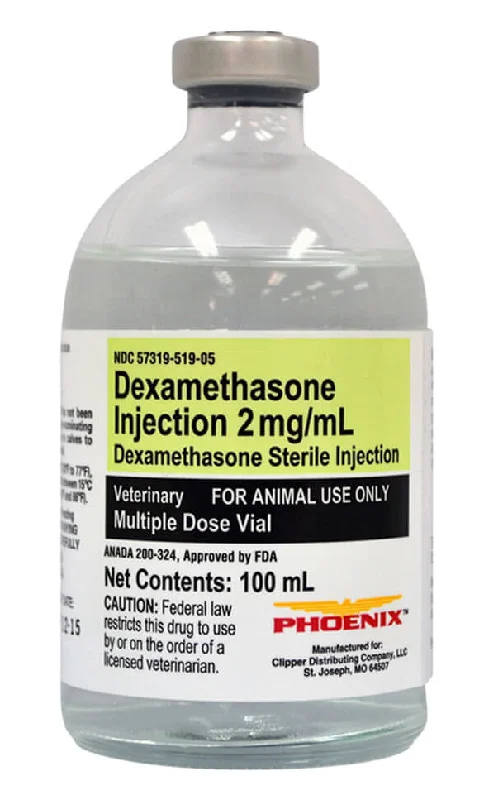 Firm orthopedic dog bed-Dexamethasone 2mg/ml x 100ml Injectable