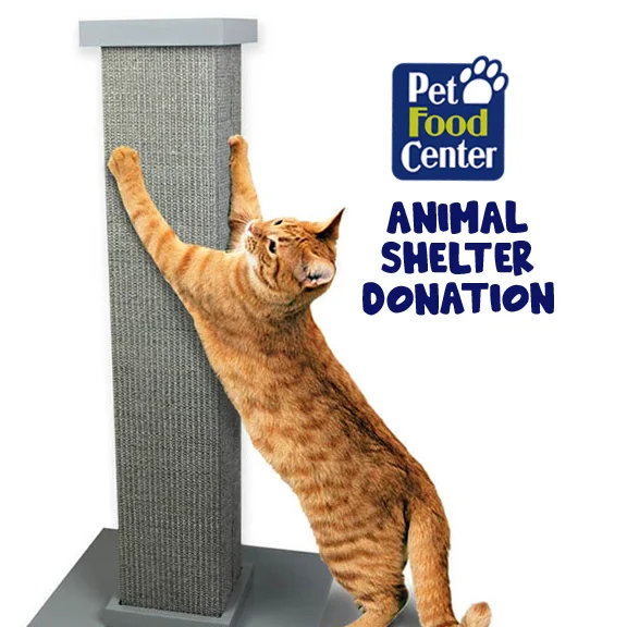 Cat condo with platform-Shelter Cat Scratching Post - Let us Pick for You -  ITV