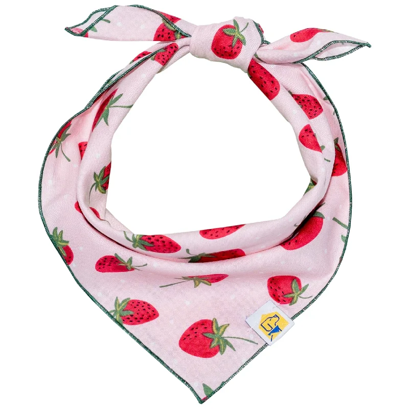 Round orthopedic cat bed-Strawberry Fields Forever Dog Bandana