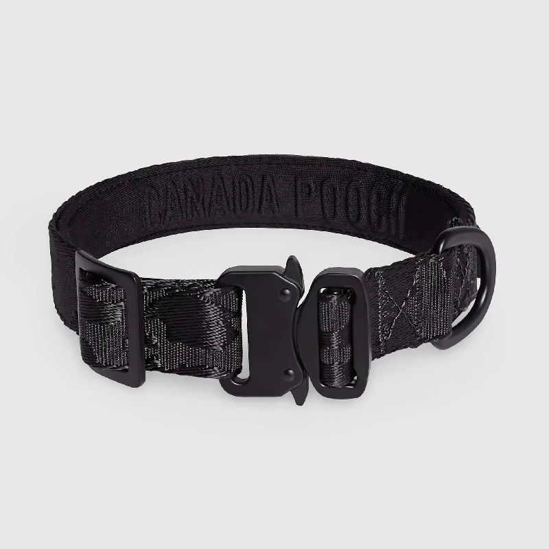 Puppy rubber teething toy-Utility Collar