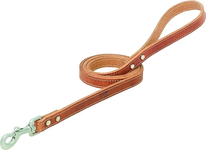 Breathable bird cage cover-Terrain D.O.G. Harness Leather Dog Leash, Russet, 3/4" x 6'