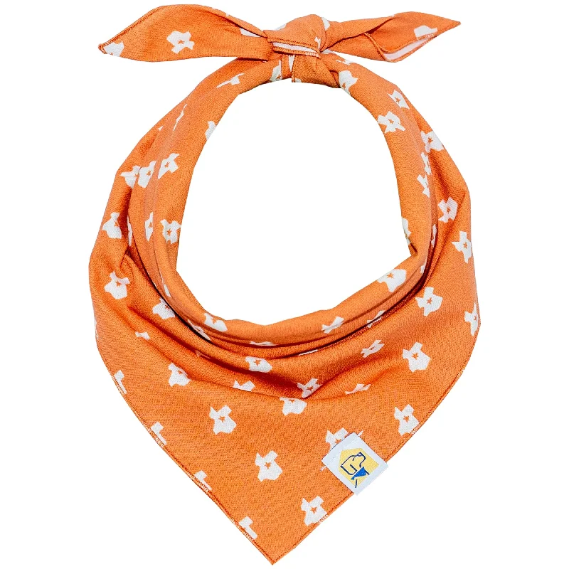 Tug-of-war dog rope-Texas State in Rust Dog Bandana