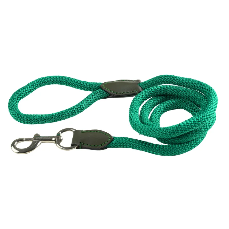 Expandable cat play tunnel-TopDog Premium Nylon Rope Leash for Dogs (Teal Green)