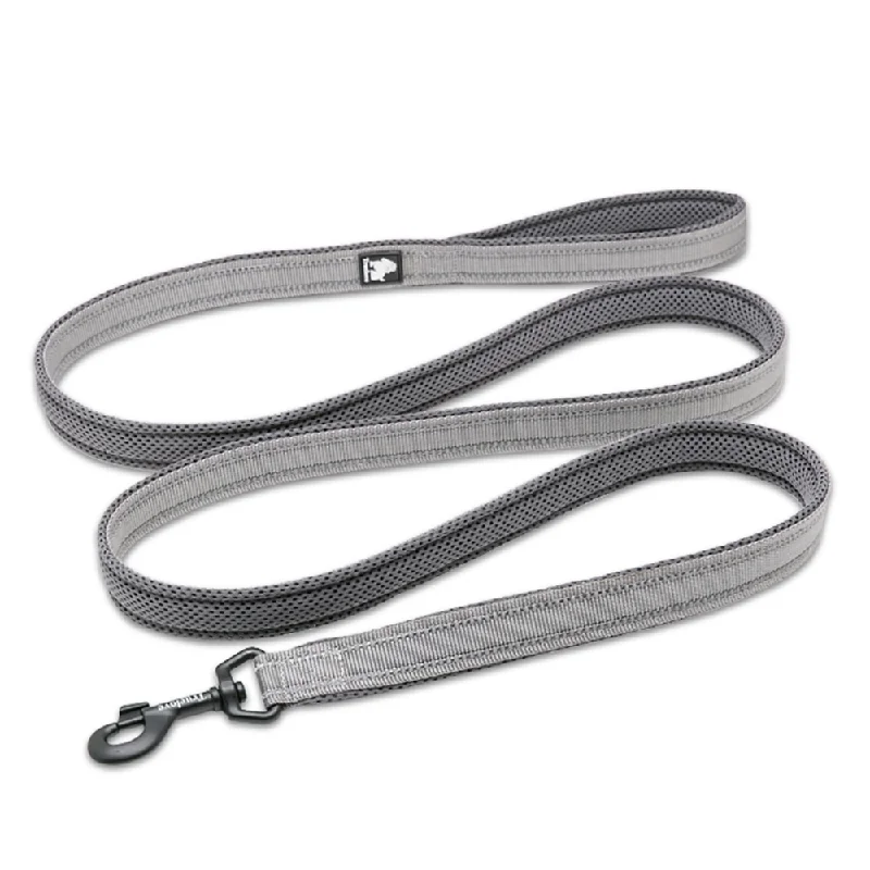 Battery-powered pet brush-Truelove Classic Leash for Dogs (Grey)