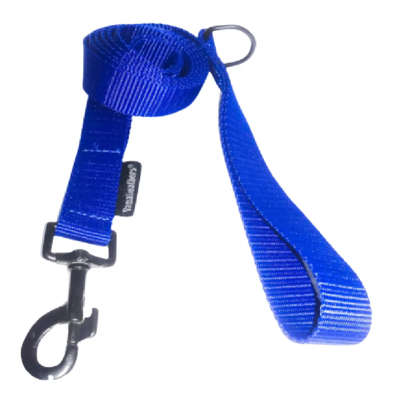 Coconut oil pet balm-Vama Leathers Super Strong & Durable Nylon Leash for Dogs (Cool Blue)