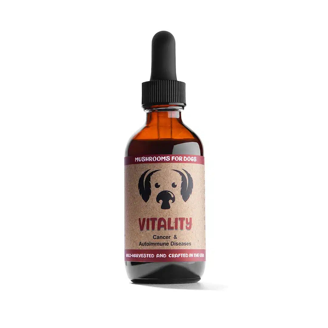 Tea tree pet shampoo-Vitality by MycoDog Mushroom Extract & Adaptogen Tincture