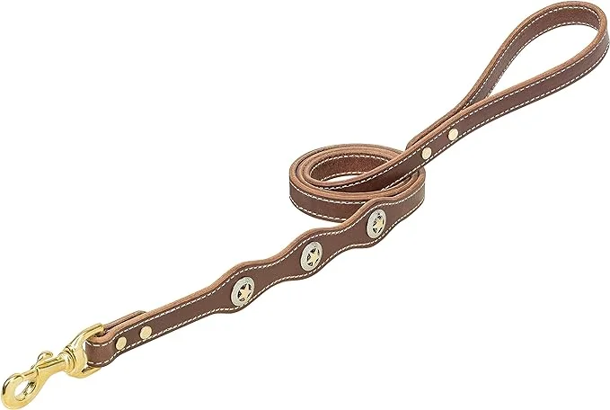 Natural pet dental sticks-Weaver Lonestar Dog Leash, Rich Brown, 3/4" x 4'