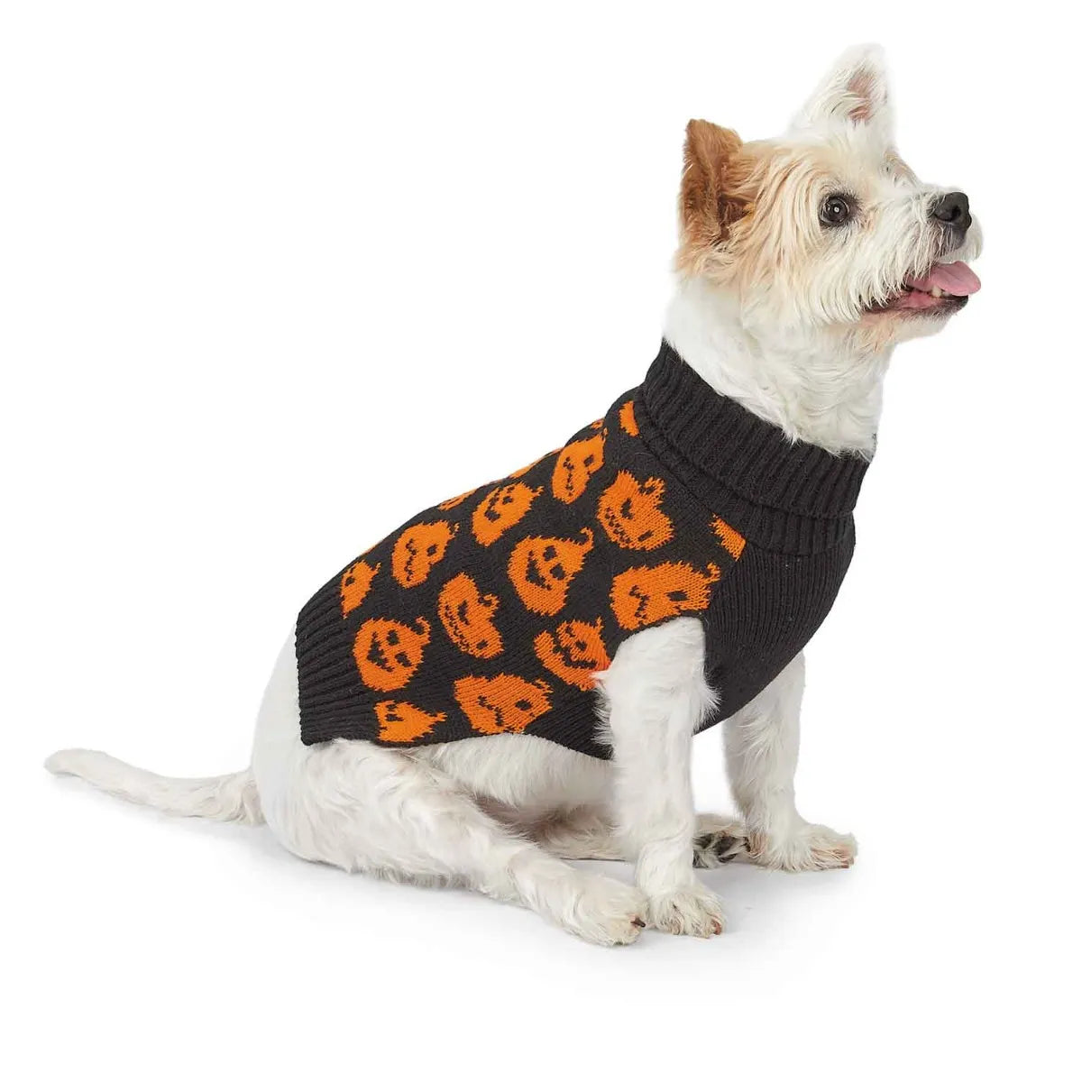 Soft-sided pet carrier-Z&Z JACK O PUMPKIN SWEATER