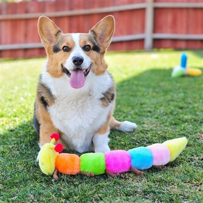 Airline-approved pet crate-Zippy Paws Caterpillar Squeaker Lg